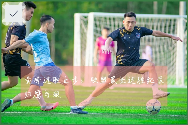 黄蜂连胜止步，联盟最长连胜纪录归鹰与狼