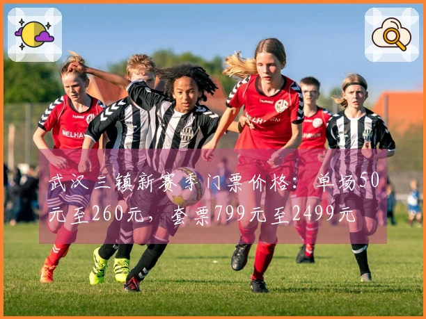 武汉三镇新赛季门票价格：单场50元至260元，套票799元至2499元